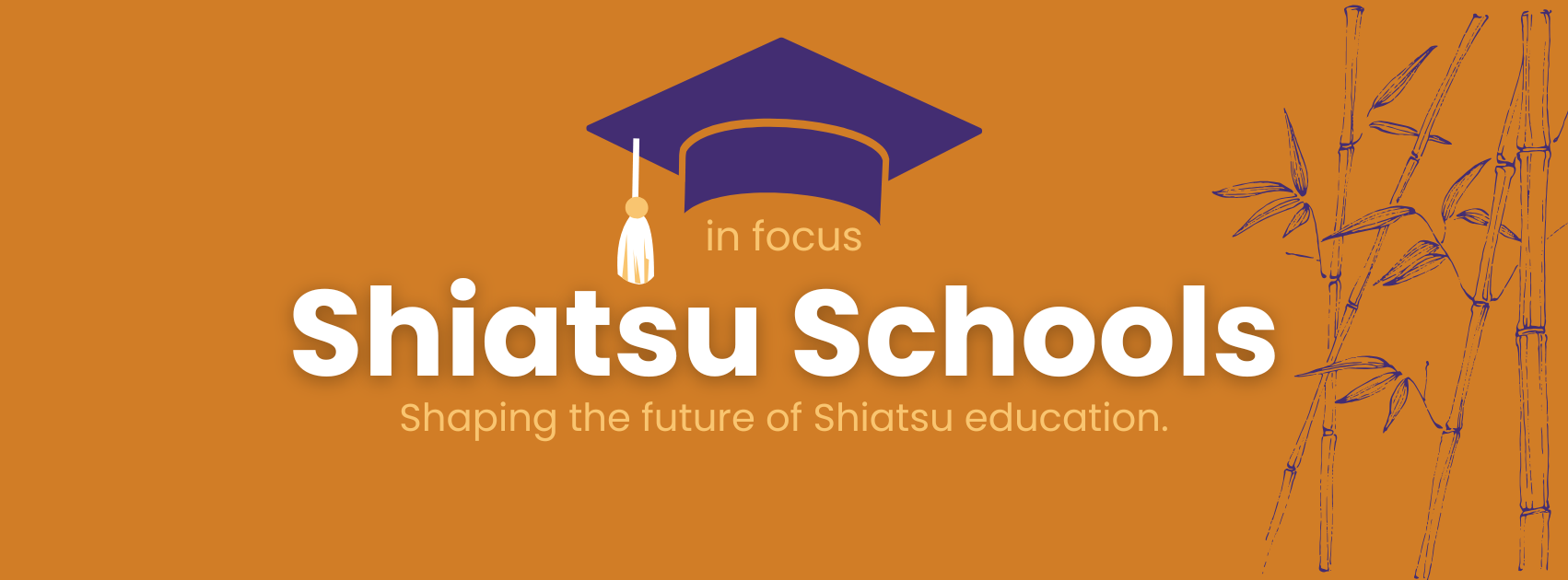shiatsu schools in focus
